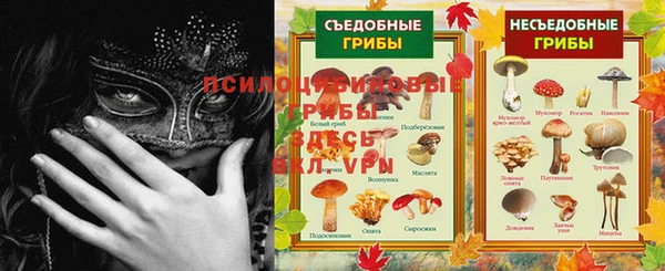 эйфоретик Медногорск