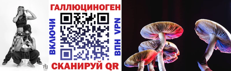 MEGA вход  Дубовка  Псилоцибиновые грибы MAGIC MUSHROOMS  закладка 